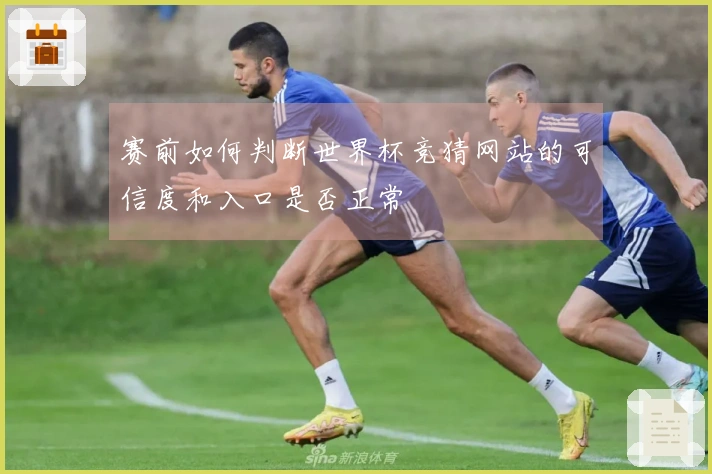 赛前如何判断世界杯竞猜网站的可信度和入口是否正常